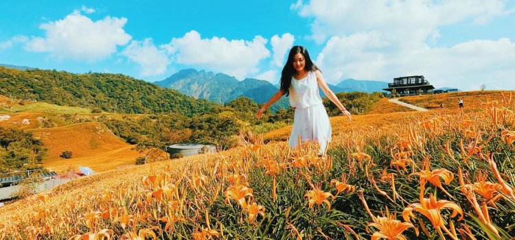 花蓮夏天限定「六十石山 金針花季」八月底盛開極大期 不可錯過! 花蓮夏天限定「六十石山 金針花季」八月底盛開極大期 不可錯過!