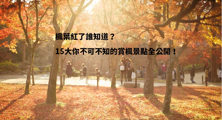 楓葉紅了誰知道?15個你不可不知的賞楓景點!