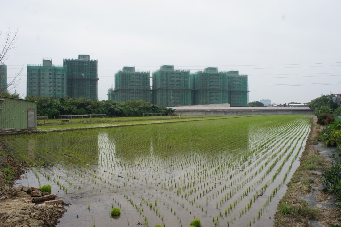台北可以是有溫度的城市,如果我們不再「迷信」水泥