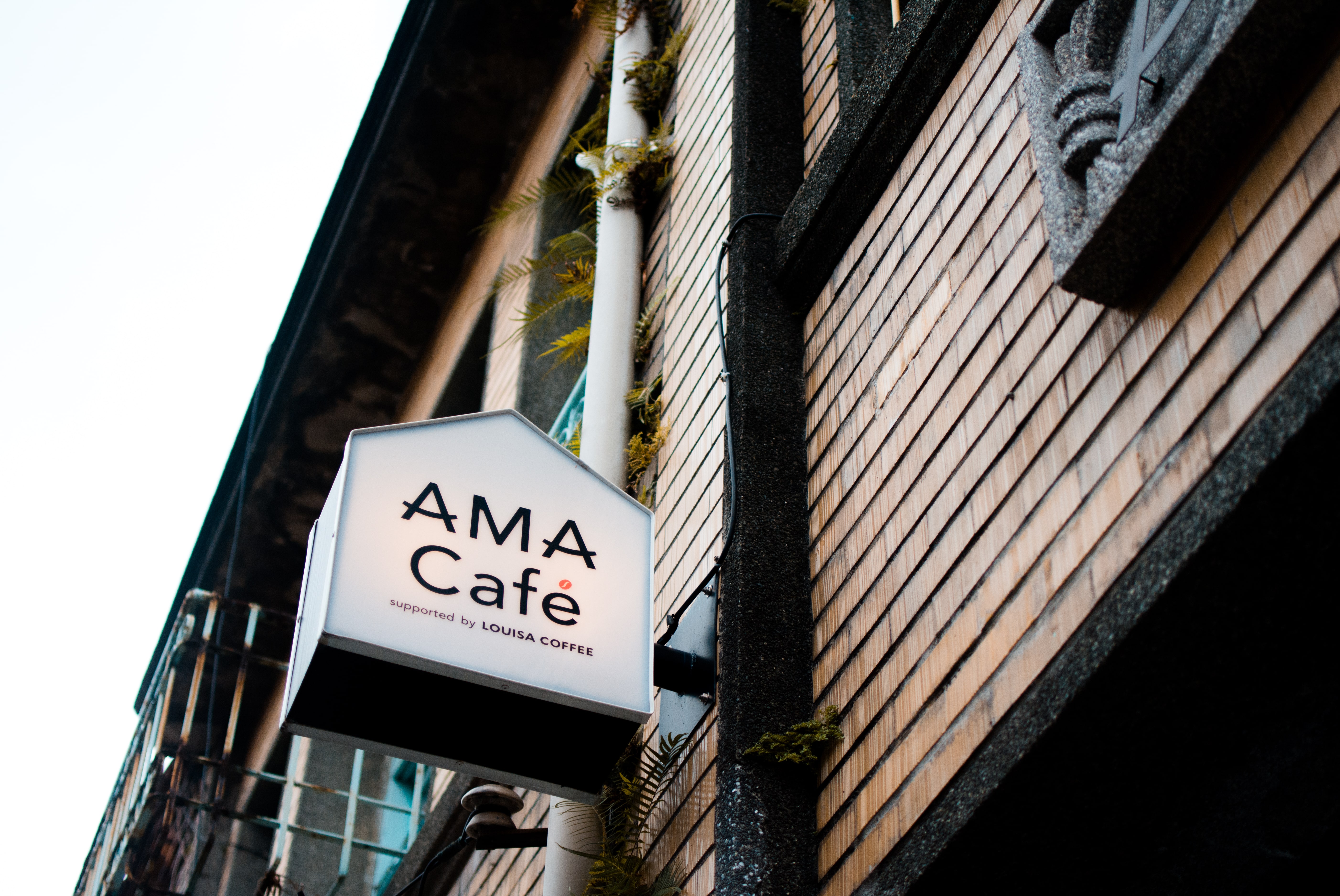 【阿嬤家】隱藏女權運動基地?來AMA Cafe點一杯咖啡助阿嬤完成心中美夢
