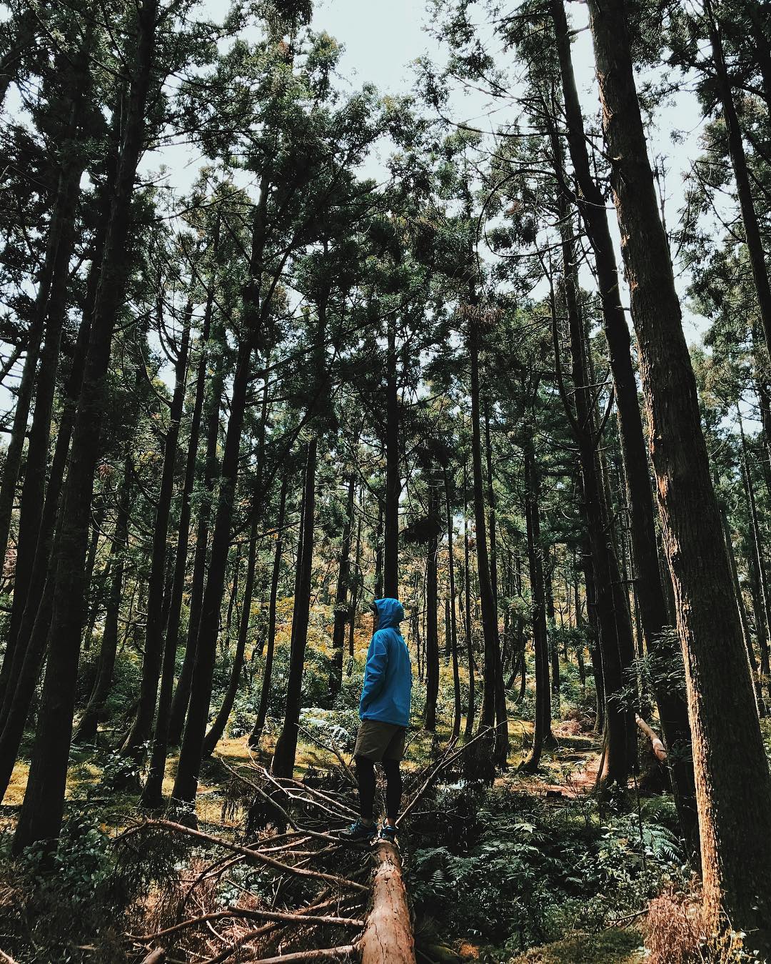 爬山與攝影，是熊明龍的兩大愛好