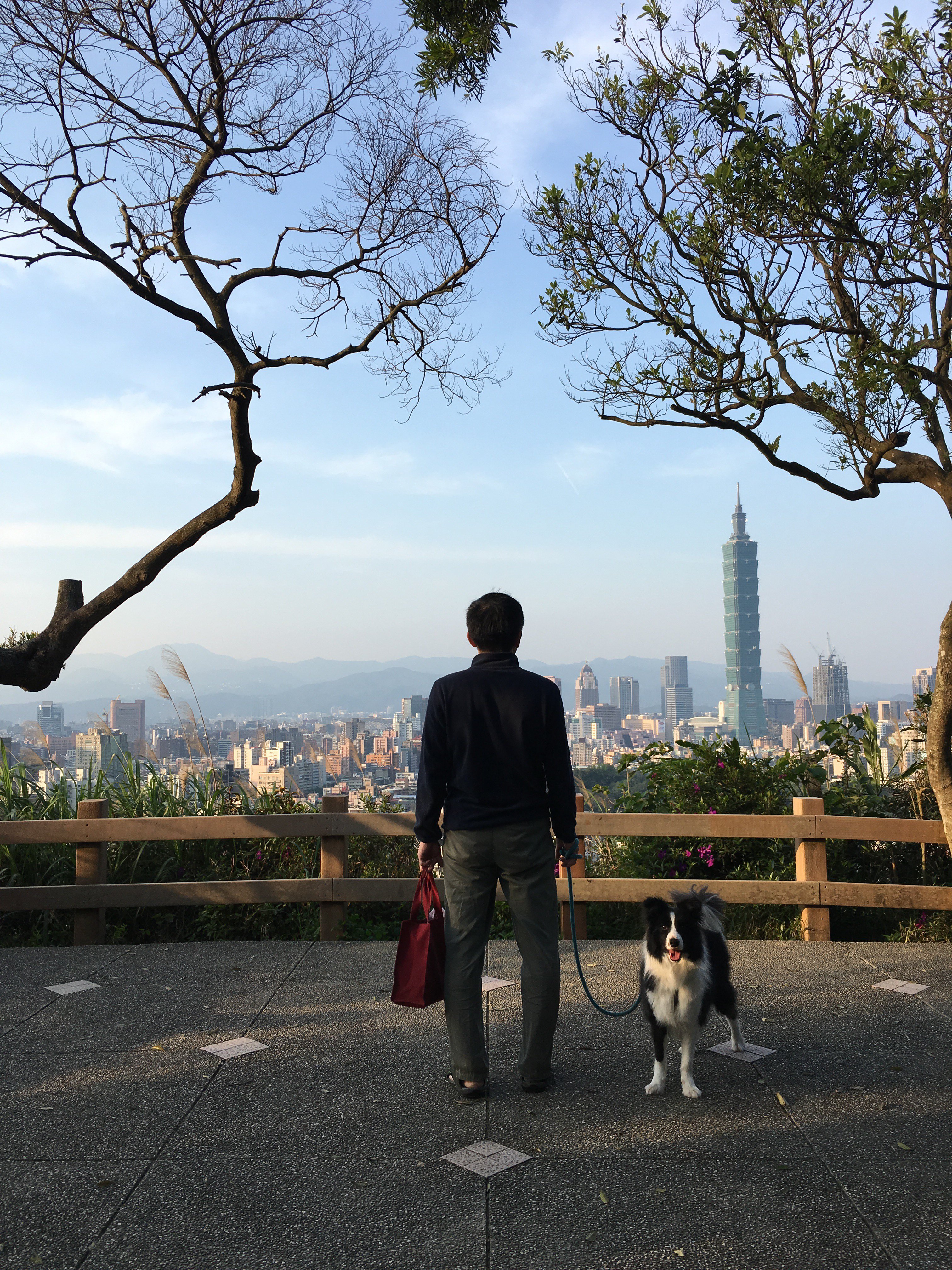 攝於福州山公園，畫面左邊那棵樹就是神奇樹