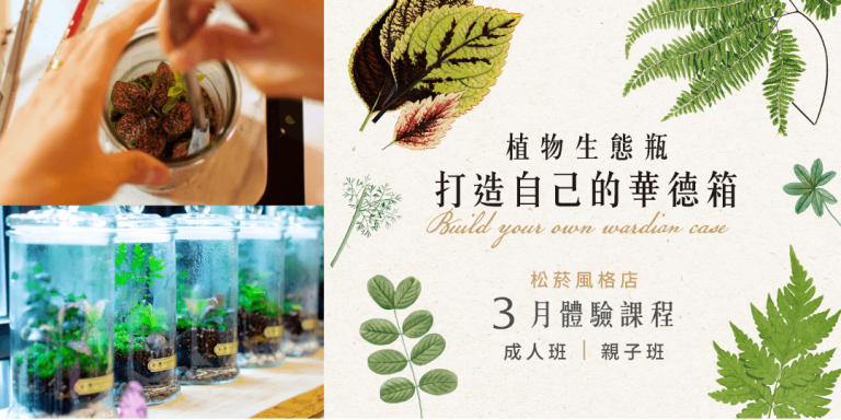打造自己的華德箱